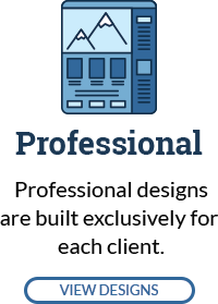 Professional Web Sites