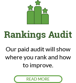 In-depth Marketing Audit